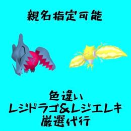 親名指定可能👾色違いレジエレキ&レジドラゴ厳選代行