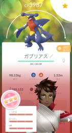 個体値100ガブリアス 色違い 伝説 幻 多数