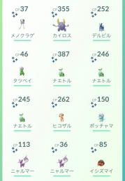 限定帽子色違いアカウント ナエトル白3 ヒコザル白1 ポッチャマ白1 ポケモンgoのアカウント売買サイト