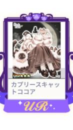 カプリースキャットココア