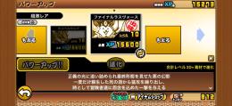 猫缶800個、