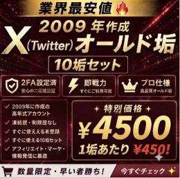 【🔥限定価格🔥】2009年作成10垢4500円　17年前の最古OLD垢・即納・凍結に強い