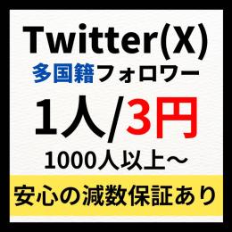 Twitter(X)多国籍フォロワー1000人増やします！　振り分け可能