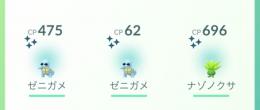 【色違いアカウント】サングラスゼニガメ2、ナエトル白帽子1、ヒコザル白帽子2、ポッチャマ白帽子1
