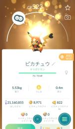 🔸激レア2016年TOKYO背景ミュウツー100MAX!ガラル伝説100!合体伝説!伝説幻658体