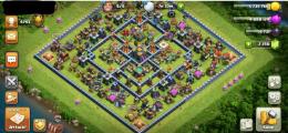 🌟未連携🌟TH14🌟1Skin🌟80.80.55.30.BM10🌟ペット5.5.5.6 