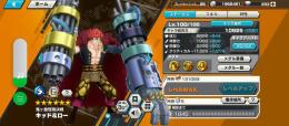 キドロLv100 スキルMAX　フルブ　