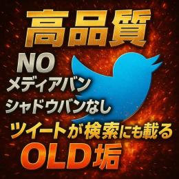 【最安の殿堂 凍結に強い🔥】Twitter(X) OLDアカウント 500円 レアアカウント 販売所