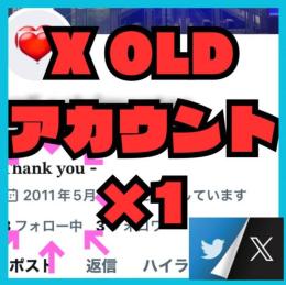 2017年　Twitter X シャドバンなしOLD×1 凍結対策 X初期垢