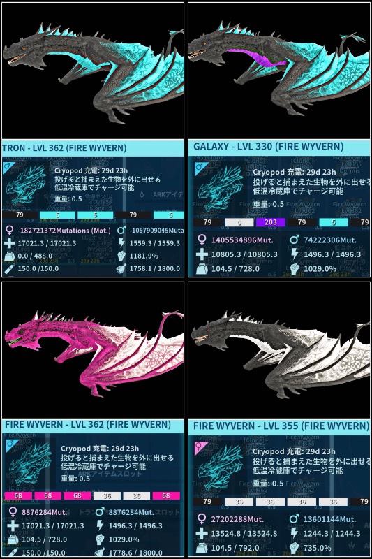 出品画像