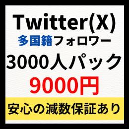 Twitter(X)多国籍フォロワー3000人増やします！　振り分け可能