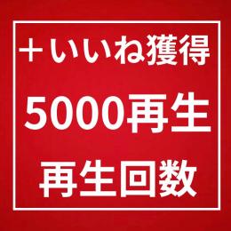 再生回数 5000回 増加〈365日間保証〉〈いいね付き〉〈増加速度◎〉〈収益化◎〉