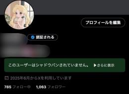 フォロワー1000人 夜職 アカウント