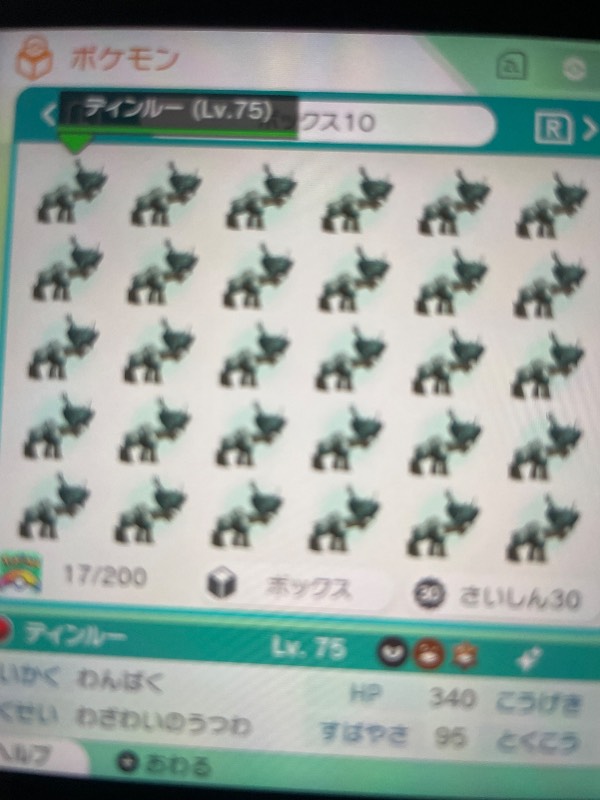 出品画像