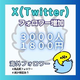 𝕏（Twitter）の多国籍フォロワー＋3000人増やします！【減少保証付】