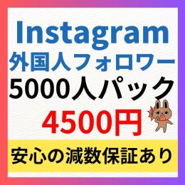 【5000人パック】Instagram多国籍フォロワー5000人増加