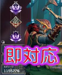 (録画可能)PC版 アリーナも【最安値・最速】マスターまで11000円