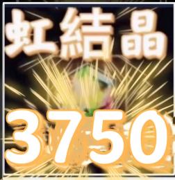 　　虹結晶3750 運気用ポポロン 15-30匹聖. 樹の種 10000
