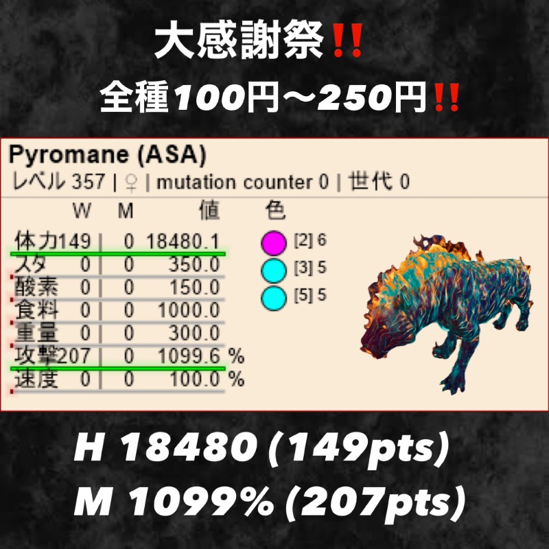 出品画像
