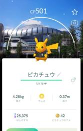 ぎるかぷ さま専用