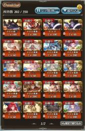 最終値下げ　Rank250↑ 十天極み 神石5属性 7賢者