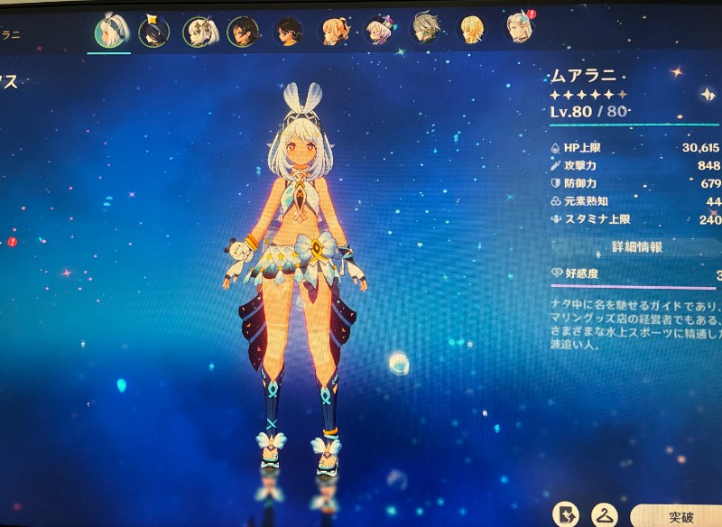 出品画像