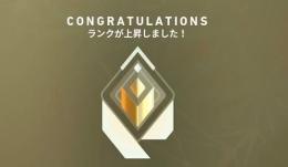 現役レディアントによる代行サービス