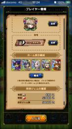 魔物使い、ソロ、ダイスラ他完凸