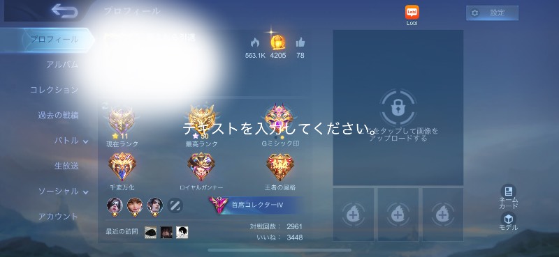 出品画像
