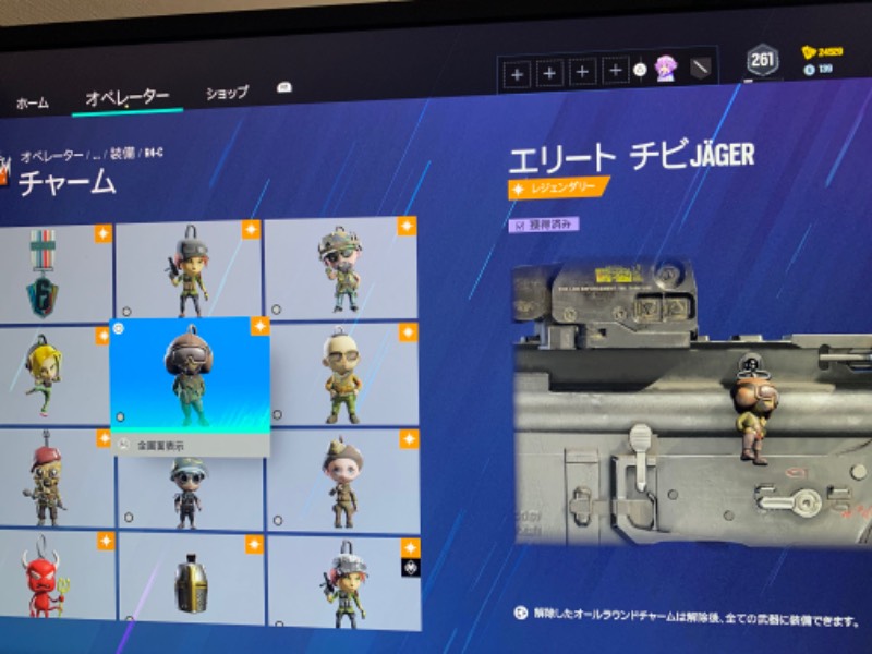 出品画像
