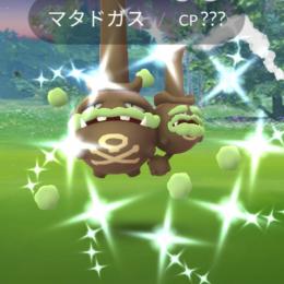 色違いガラルマタドガス アカウント販売