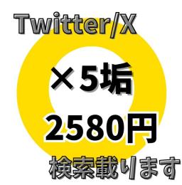 検索に載ります✨ Twitter(X)アカウント✨ ×5垢セット　日本人プロフ設定済み