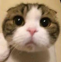 はむ様専用
