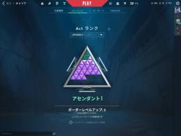 アセンダント　チャンピオンスキン有