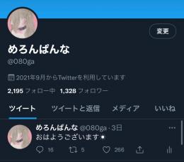 日本人フォロワー1328人　平均いいね300 超高アクティブアカウント