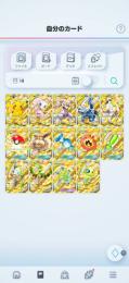 【お値下げ可】引退 総枚数約33000 👑18,博士＆リーリエ7枚ずつ所持！