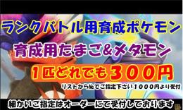 ＳＶ▼どれでも300円‼️リストから選んでください❗️随時更新します。