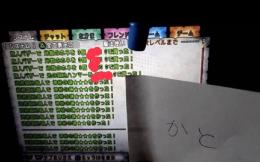 おんクイ様専用　2億3000万ゴールド　個人　職
