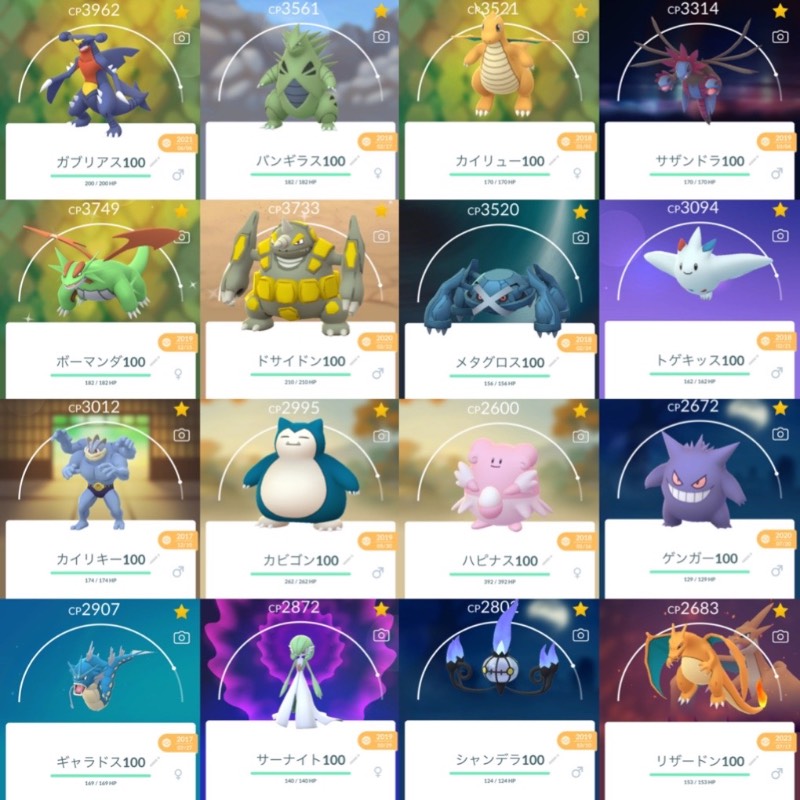 出品画像