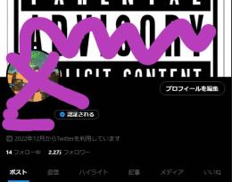 🌸超格安🌸フォロワー20000人↑🌸シャドウバンなし