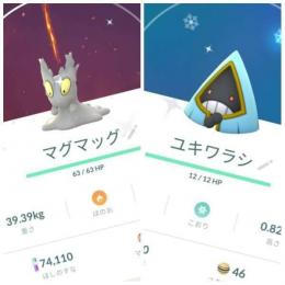 東京産色違いマグマッグ ユキワラシ♀ アカウント販売