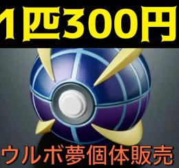 ウルボ個体販売