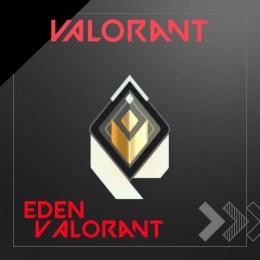 VALORANT 即対応　レディアントが代行します