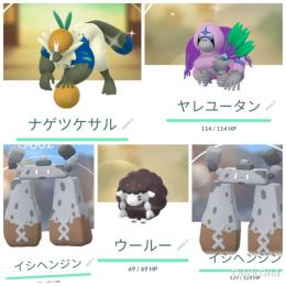 東京産色違いナゲツケザル＆ウールー他通常イシヘンジン♂♀アカウント販売
