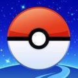 15500ポケコイン 導入 複数可 最速1時間以内完了
