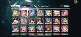 進行アカウント　新キャラ水着ミリム所持