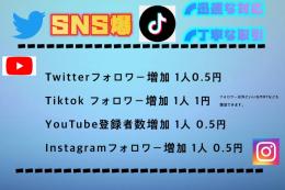 SNS爆 フォロワー増加の方おすすめ！！！