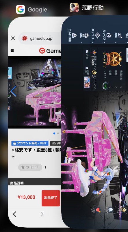 出品画像