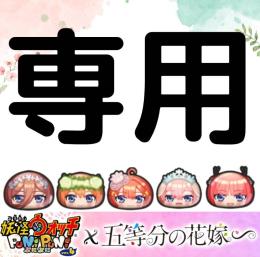 ノラケン様専用
