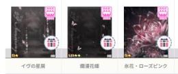 Pure 23rd Anniversary Vol.3　　男女共通